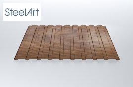 Профнастил C20 SteelX SteelArt