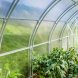 Сотовый поликарбонат прозрачный для теплиц Polyplast премиум